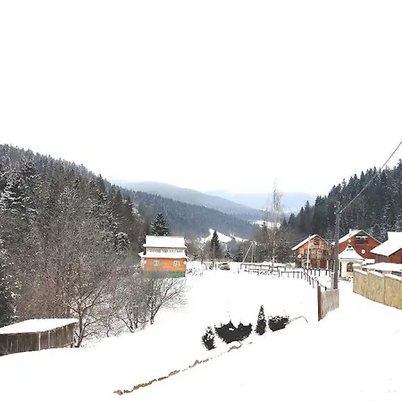 Manor 