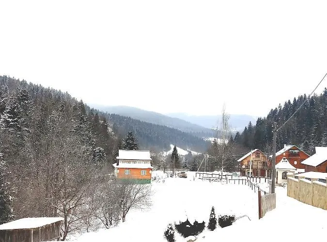 Manor 